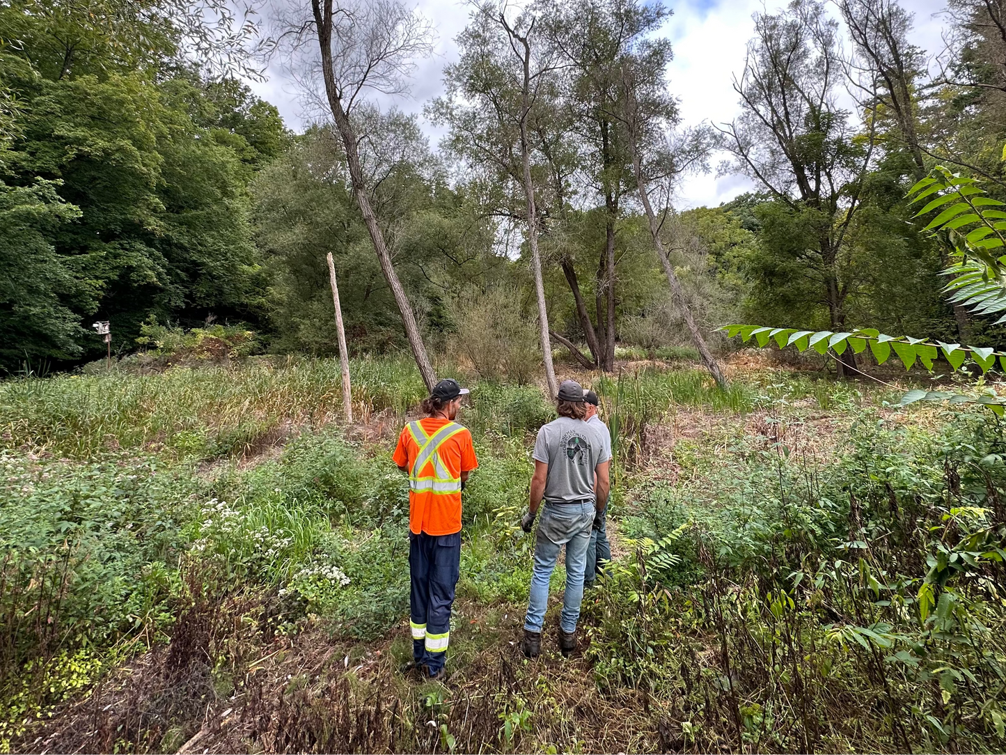 Site walkthrough with a partner from previous project