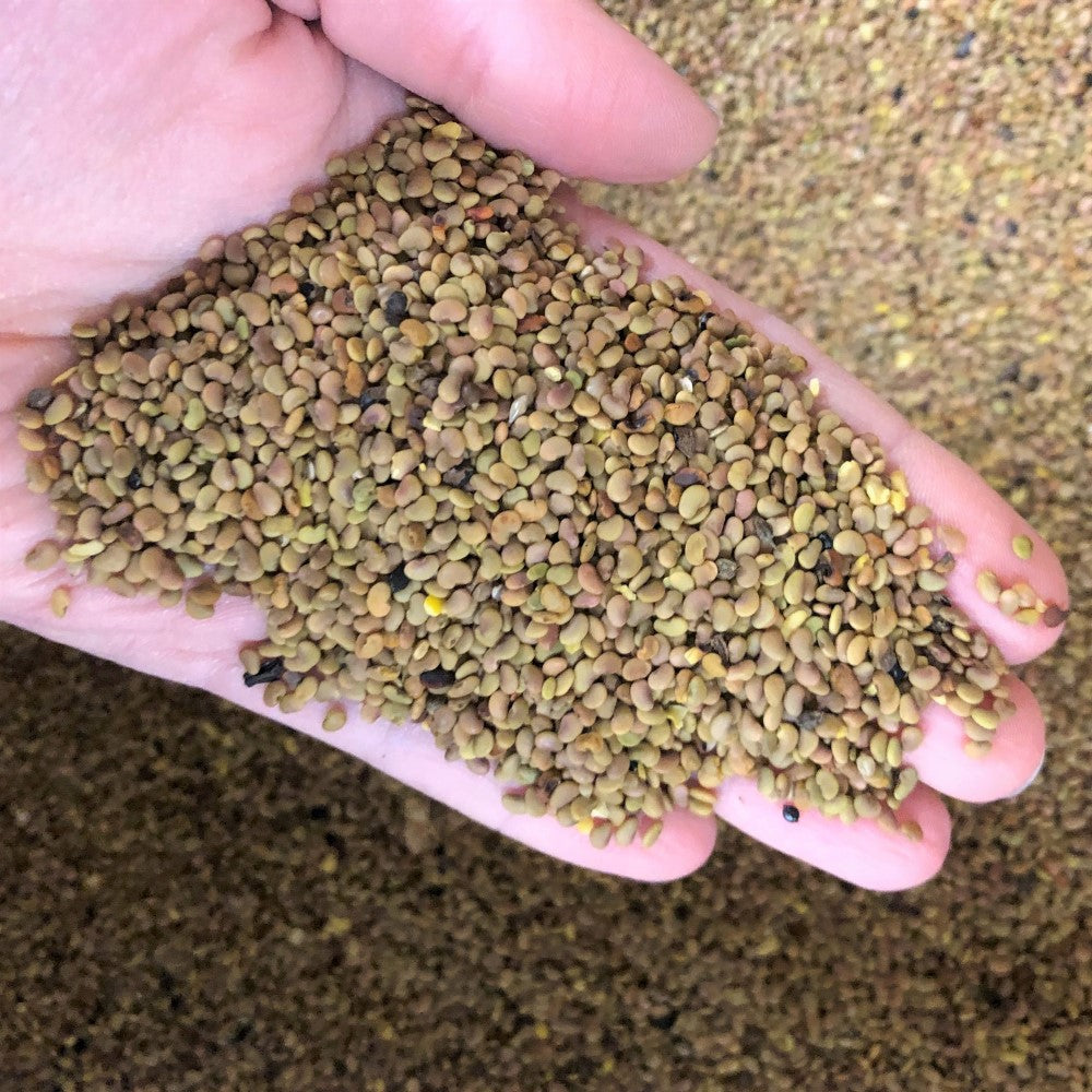 Choose your custom seed mix